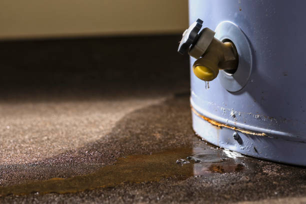 Best Water damage restoration near me  in Santa Ynez, CA