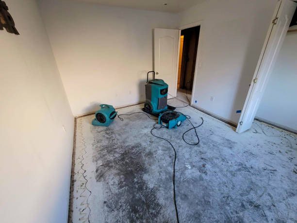 Best Local water damage restoration  in Santa Ynez, CA