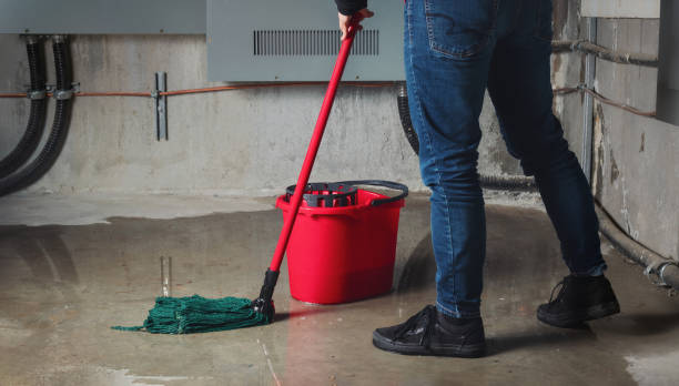 Best Flood restoration services  in Santa Ynez, CA