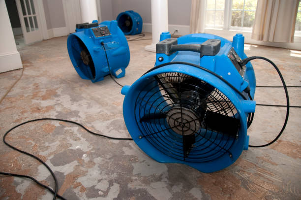 Best Carpet water damage restoration  in Santa Ynez, CA