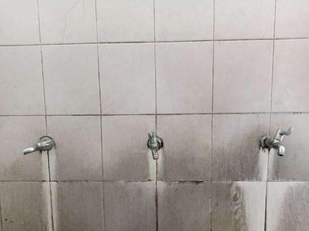 Best Water damage mitigation services  in Santa Ynez, CA