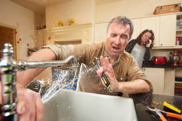 Best Mold removal after water damage  in Santa Ynez, CA